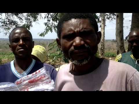 SUBIRA MGALU MBUNGE VITI MAALUMU PWANI TANZANIA ASAIDIA LAKI 7 SHULE YA MSINGI MWETEMO CHALINZE 