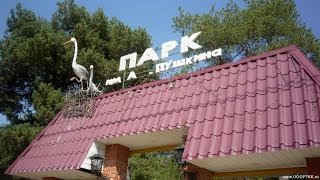 Парк им.Пушкина в Северской, наша с сыном утренняя прогулка Парк им.Пушкина в Северской, наша с сыном утренняя прогулка