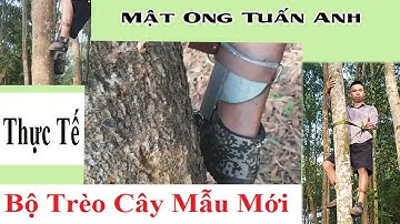 Test Thực Tế Bộ Chân Trèo Cây Mẫu Mới, Leo Cây Quá Ngon Lành