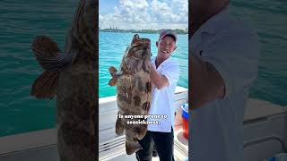 What can you catch in 4 hours #fishingcharter #yachtrental #boatrental