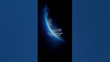 ##quran #اللهم_صل_وسلم_على_نبينا_محمد #استمع #اكسبلور #لايك #تلاوة_خاشعة #هيهات هيهات