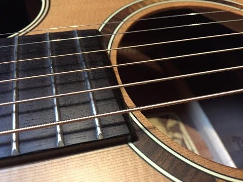 Takamine ETN-10C