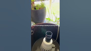 The bog filter clean out day.