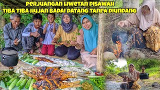 Lelah Habis Panen, Masak Liwet KEHUJANAN, Tapi Nikmatnya BERASA, Bakar IKAN SORO JUMBO, Lalap JOTANG