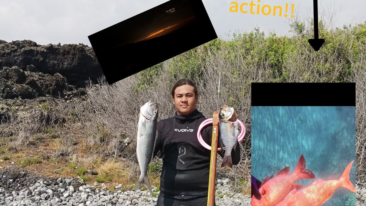 Spearfishing maui hawaii, Epic reef hunt!!