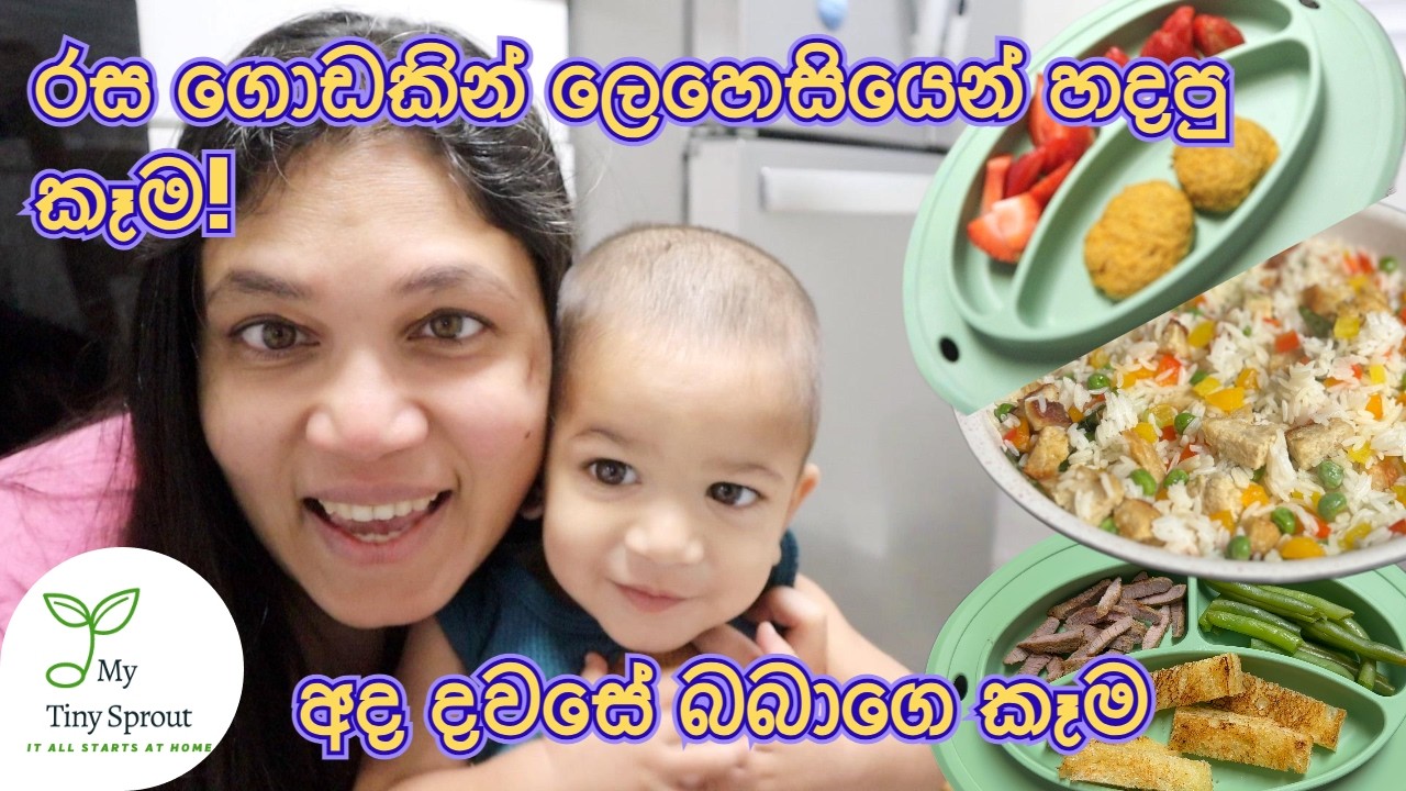 අද දවසේ මගේ මාස 14 බබාගෙ කෑම 