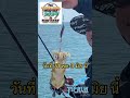 ถ้าอยากรู้จัก..ก็มาดิ่คร๊าบ✌️ #TFE #CentralBangna #tiprun #ตกหมึก #หมึก #squid #fishingtackle