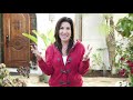 The Importance of Understanding Your Gifts