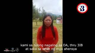 Distribution Of Seedlings At So Sicao, Brgy Tamayong, Calinan District, Davao City