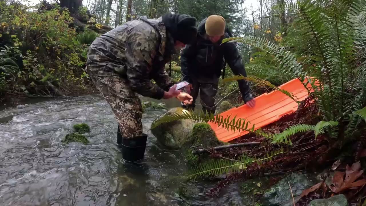 Washington State Jade Boulder Extraction