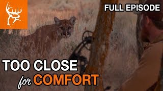 MOUNTAIN LION AT 7 YARDS!! | UTAH GIMME 2  | Buck Commander | Full Episode