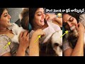 ఒసేయ్ దొంగ ముండ: Varalaxmi Sarathkumar Playing With Her Pet | Varalaxmi Sarathkumar Latest Video |NB