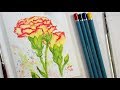 Carnation Flower Real Time Beginner Watercolor Pencil Tutorial (Only 4 colors!)