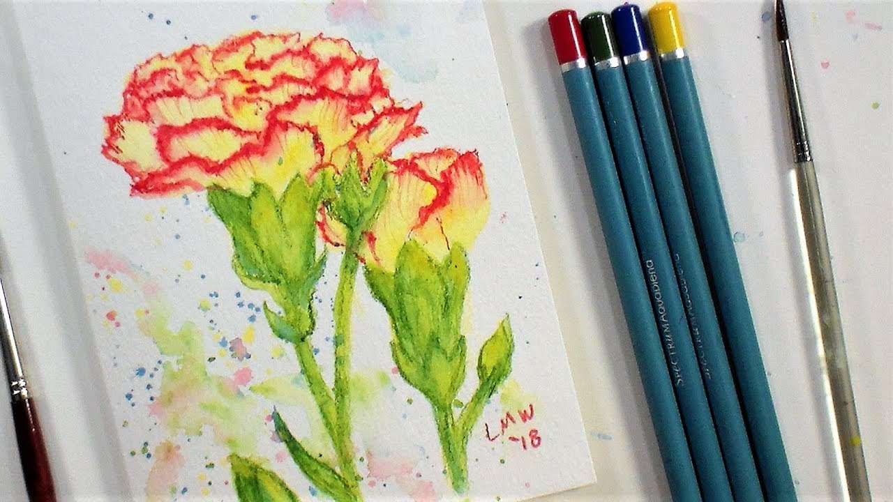 Carnation Flower Real Time Beginner Watercolor Pencil Tutorial (Only 4