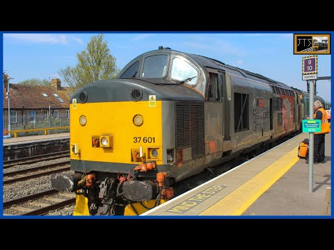37601 & 769927