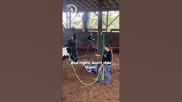 Finding The Holes In Your Horse’s Training! Part 7! | The Horse Guru - Michael Gascon