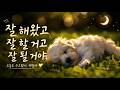 잘 해왔고 잘 할 거고 잘 될 거예요 강아지와 함께하는 깊은 수면 힐링 음악 