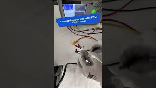 8317083176VWLH200CKLXS | ebm-papst Wiring Guide