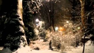 Biella   - La magia della neve in un sera di Febbraio ai Giardini Zumaglini.