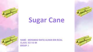 PRESENTATION PROJECT ECS246 GROUP 1 (EC1104H)