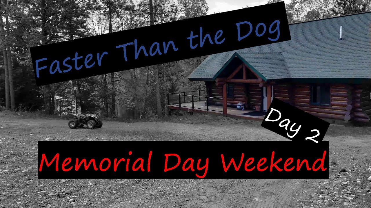 Faster Than the Dog?!