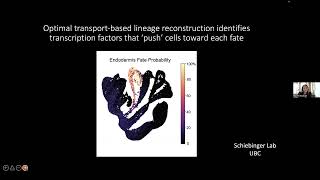 Genomics and Developmental Biology