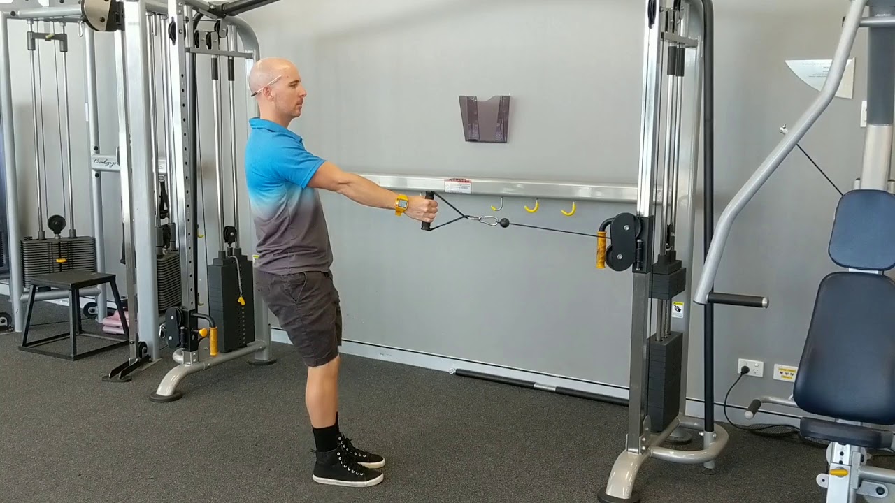 Reverse lunge with single arm row (cable) - YouTube