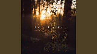 Dawn Breaks