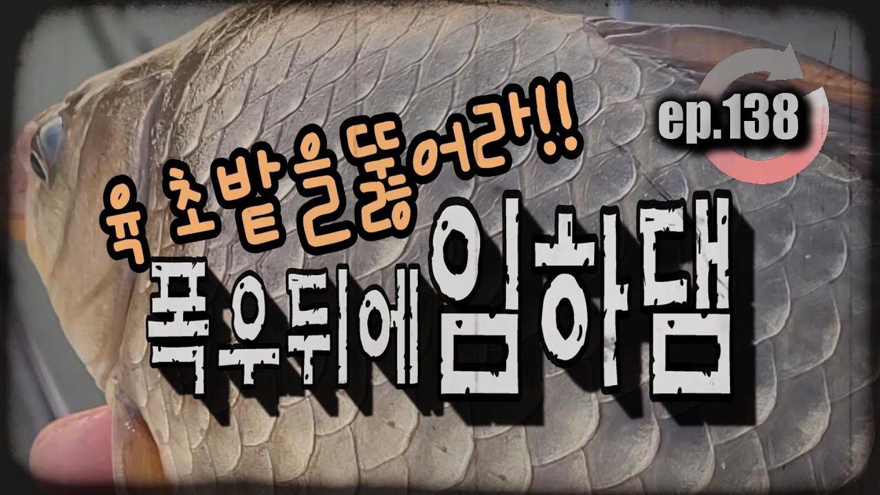 [ep.138] 폭우 뒤에 찾아간 임하댐, 육초밭을 뚫어라!! #임하댐 #오름수위 #육초낚시 #붕어낚시 #대물낚시 #댐낚시