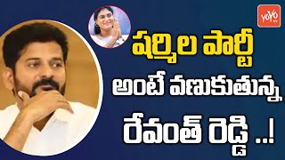 Why Is MP Revanth Reddy Panick With YS Sharmila Entry ?| Revanth Reddy Vs YS Sharmila | YOYO TV