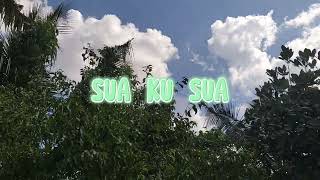 Famous P.E 2 FINAL PERFORMANCE TASK | SUA KU SUA Net Worth