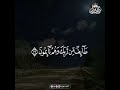 Deep Emotional Quran Recitation for Spiritual Healing and Heart Serenity #Quran #Peaceful