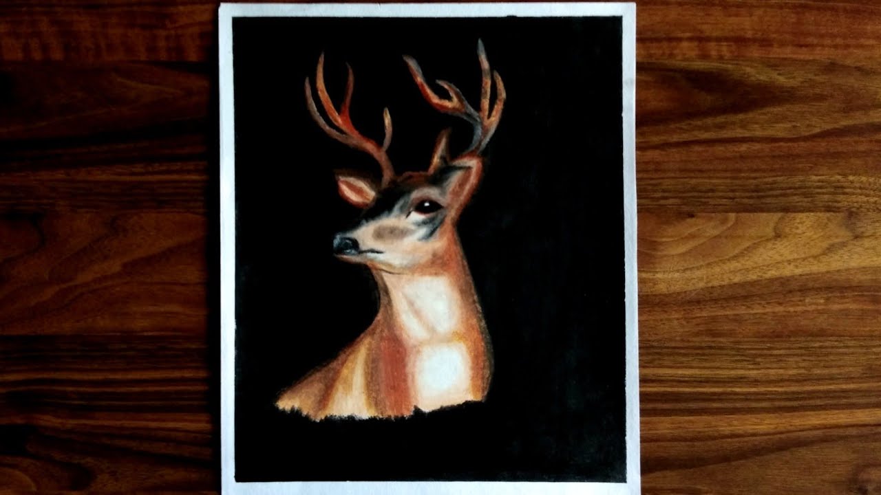 Whitetail Deer Drawing With Oil Pastels / Easy Oil Pastel Drawing