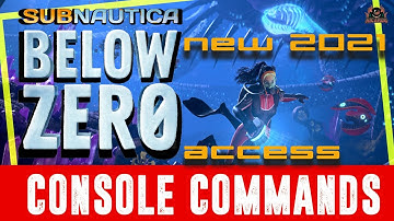 New Method  | Access the Subnautica Below Zero Console