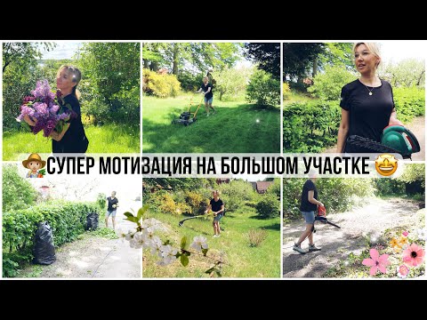 👩🏼‍🌾БОМБИЧЕСКАЯ МОТИВАЦИЯ НА