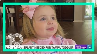 21-month-old baby girl in need of a life-saving kidney transplant