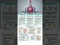 Perioperative Care: Pre-Op, Intra-Op &amp; Post-Op Nursing Roles &amp; Responsibilities #PerioperativeCare