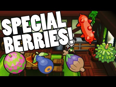 How to get Spelon Pamtre Watmel Durin and Belue berries in Pokemon Omega Ruby and Alpha Sapphire - How to get Spelon Pamtre Watmel Durin and Belue berries in Pokemon Omega Ruby and Alpha Sapphire