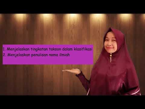 Klasifikasi - YouTube