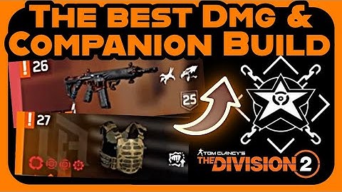 The Division 2 : Best Companion DMG Build!