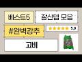꿀팁 지리산 고사리  고비! 맛있는 나물 제철 맞아? (건고사리/데친고사리)