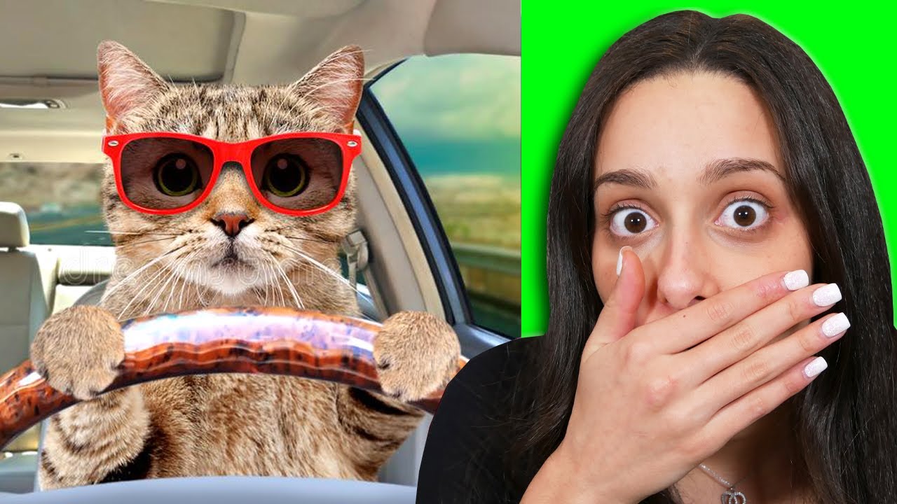 PROVA A NON RIDERE - IMPOSSIBILE