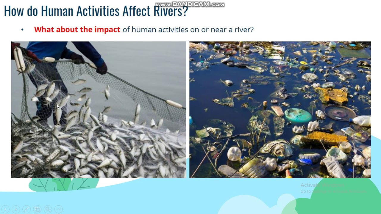 How Do Human Activities Affect Rivers