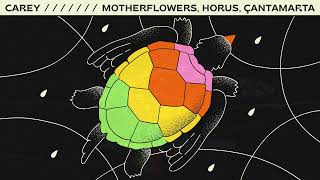 Video thumbnail of "Motherflowers - CAREY  ft. HORUS, Çantamarta"