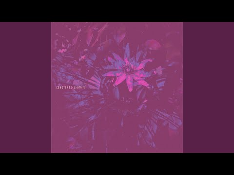 Constants — Crosses