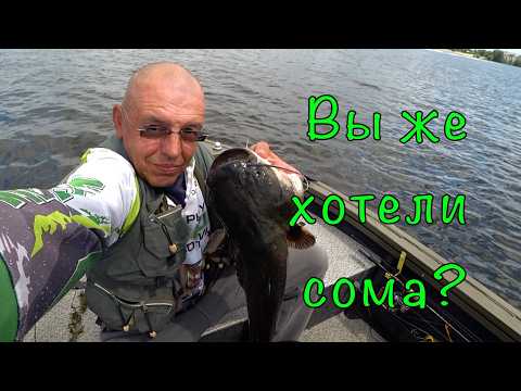 CATFISH on a light SPINNING ROD. Pure adrenaline.