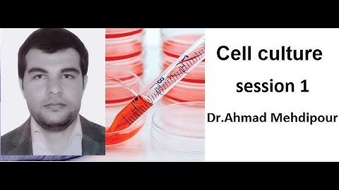 Introduction to cell culture