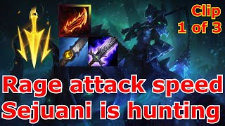 Attack speed Sejuani.exe