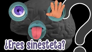 La SINESTESIA ¿Se puede saborear un sonido?