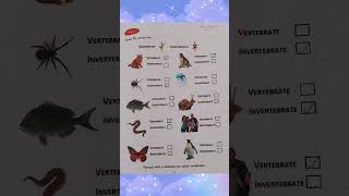 : Allied School Class 4 Science Holiday Pack | Activity & Questions Solved part 1 2026